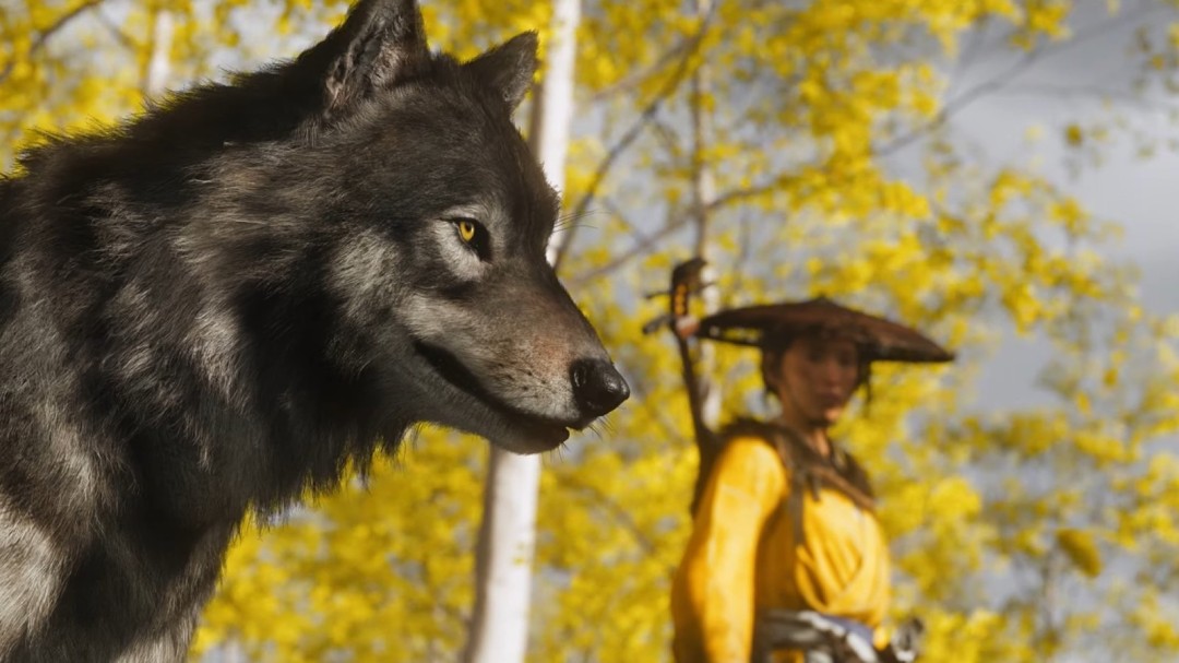  《羊蹄山之魂》新预告曝光双刀战斗与狼伙伴机制