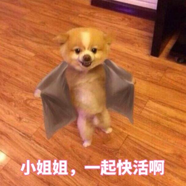  BLG止步16强引热议 找商K败火行为遭网友围观