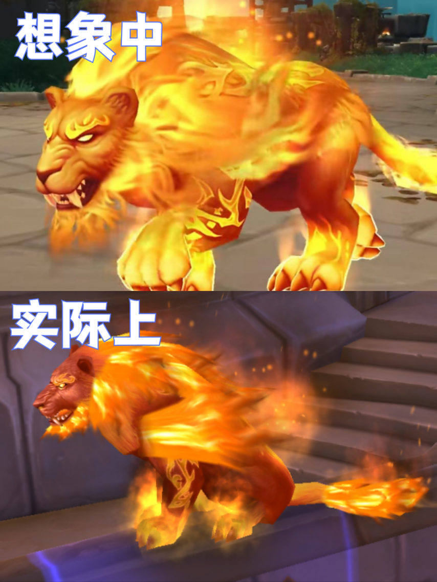  魔兽世界怀旧服WLK火猫变绿猫原因解析