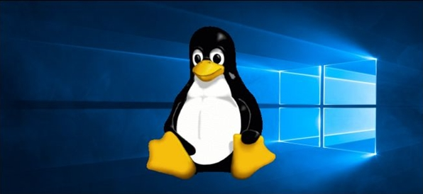  Win10停服后Linux成首选近九成游戏流畅运行