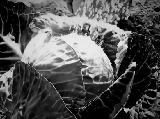  Steam下架恐怖游戏无理由？开发者表示不解