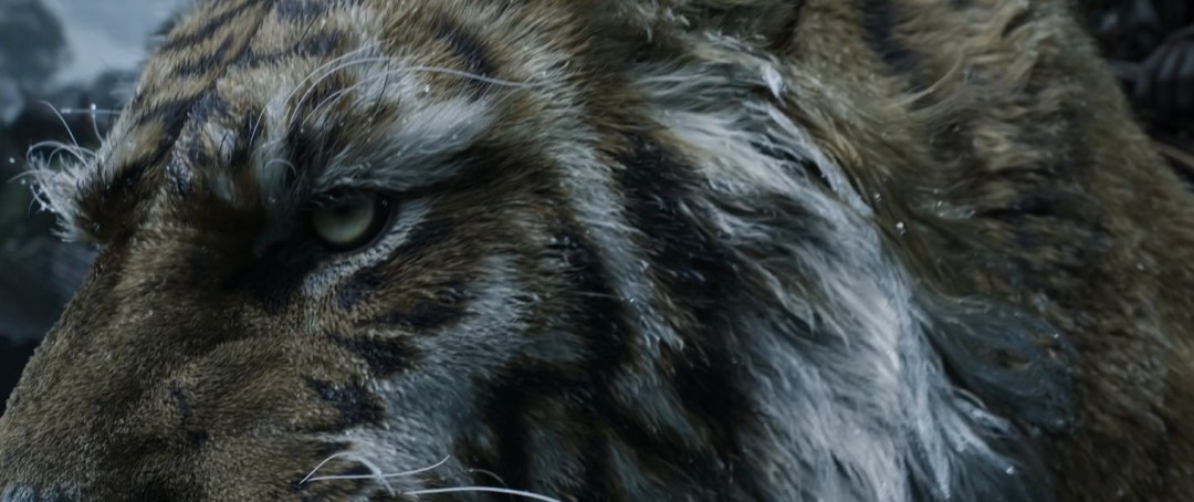 钟馗与华南虎形象